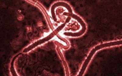 Passengers Screened, Airport Scrubbed As Federal Agencies Attempt To Quash Spread Of Ebola Virus
