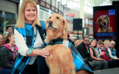 Furry Friends Offer Stress Relief For Travelers At DEN