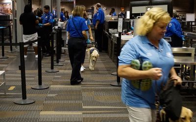 TPA Goes To The (Guide) Dogs For A Day