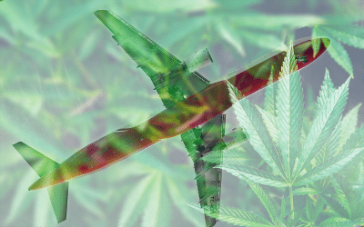 Marijuana Legalization And The Impacts On Airports