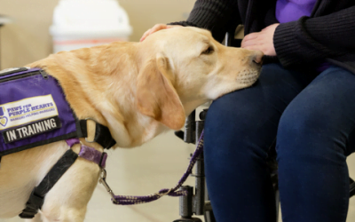 SJC Launches Paws for Purple Hearts