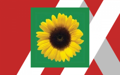 SJC Introduces Sunflower Lanyard Program